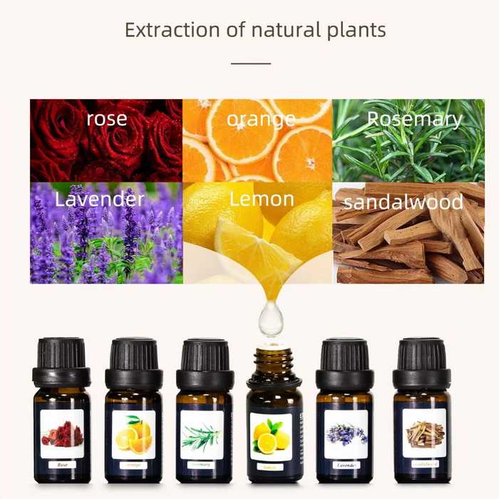 اسانس معطر (پک 6 عددی) ESSENTIAL OILS - Image 2