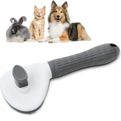 https://irepairtools.ir/product/%d8%a8%d8%b1%d8%b3-%d8%b3%da%af-%d9%88-%da%af%d8%b1%d8%a8%d9%87-%d9%87%d9%85%d8%b1%d8%a7%d9%87-%d8%a8%d8%a7-%d8%af%da%a9%d9%85%d9%87-%d8%aa%d8%ae%d9%84%db%8c%d9%87/